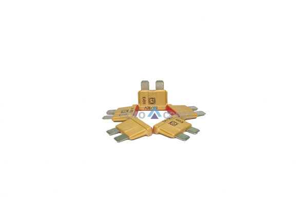 cau-chi-su-5a